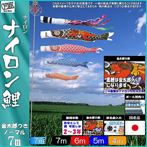 Amazon | キング印鯉のぼり 鯉のぼり 庭用 ナイロン鯉（祥龍吹流し）金